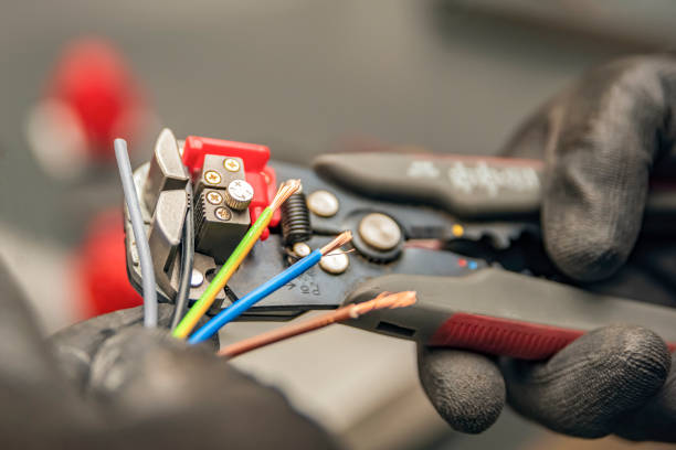Best Electrician for Home Renovation  in Candlewick Lake, IL