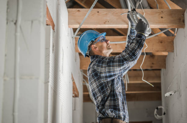 Best Electric Panel Repair  in Candlewick Lake, IL