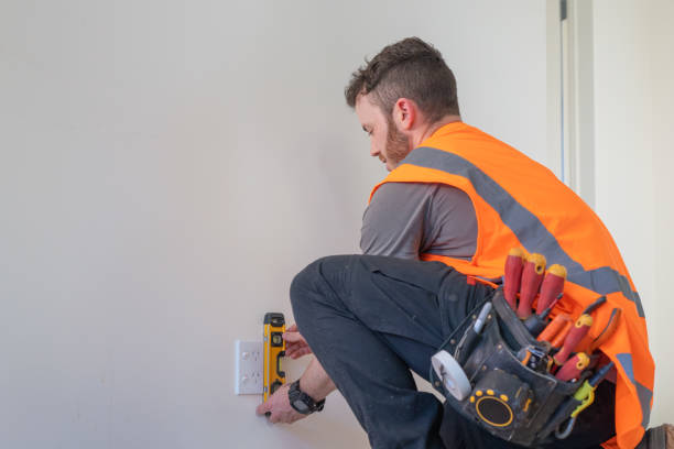 Best Local Electrician Companies  in Candlewick Lake, IL